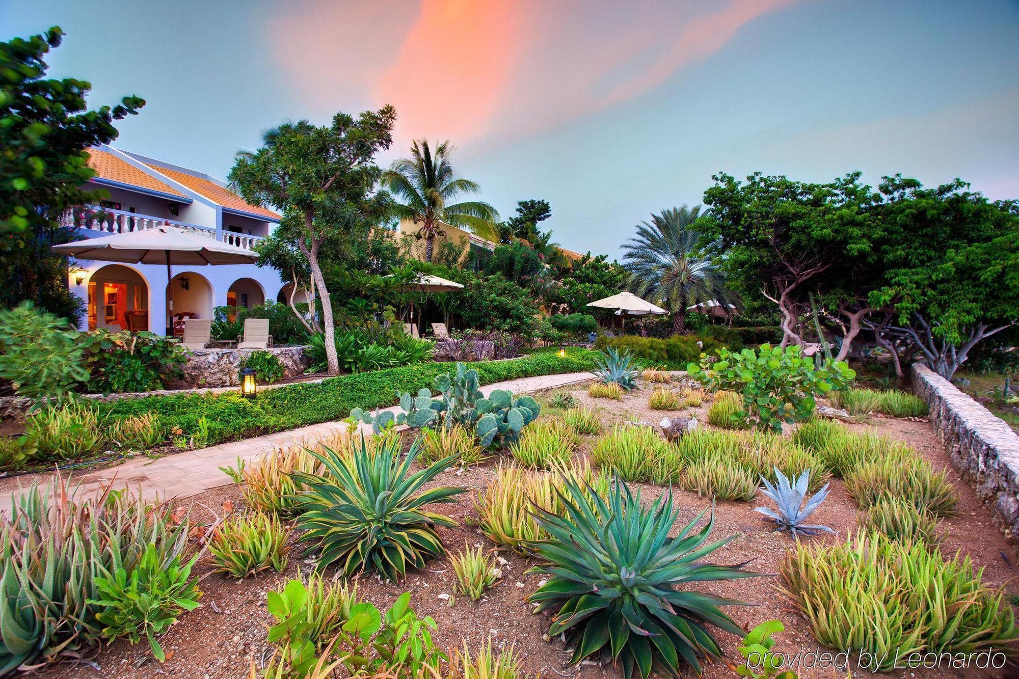 Kura Hulanda Lodge & Beach Club Westpunt المرافق الصورة